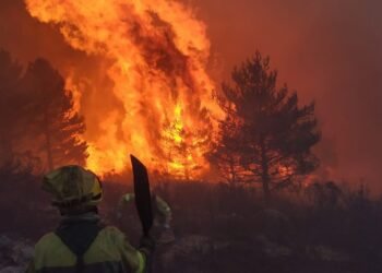 Incendios: el Gobierno aseguró que están los medios para combatir el fuego
