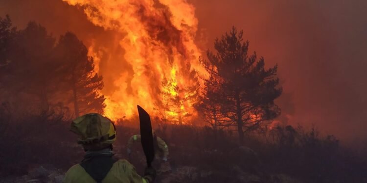 Incendios: el Gobierno aseguró que están los medios para combatir el fuego