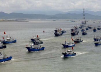 La Armada volvió a detectar cientos de barcos chinos merodeando aguas argentinas