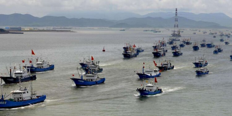 La Armada volvió a detectar cientos de barcos chinos merodeando aguas argentinas