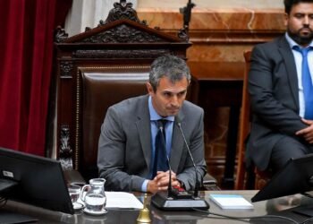 Martin Menem desmintió la autenticidad de los audios filtrados: “La inteligencia artificial jugó un papel importante en su creación.”