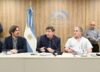 Diputados: Oposición impulsa emergencia para discapacidad