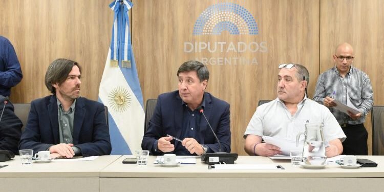 Diputados: Oposición impulsa emergencia para discapacidad
