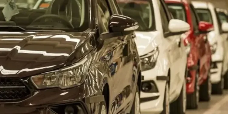 Tras el fin del cepo: fabricante líder acelera y ajusta precios