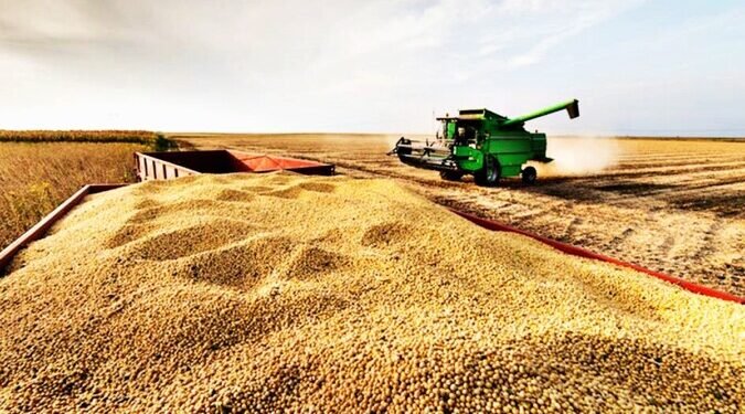 Soja: Japón refuerza a EEUU frente a China