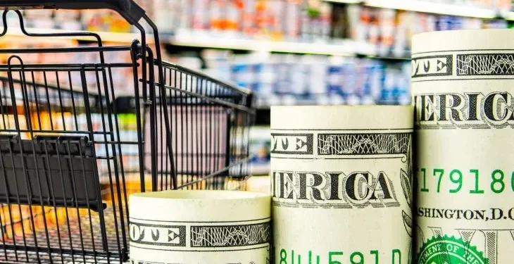 “Dólar o plazo fijo: expertos opinan.”