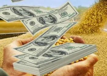 Agro y dólares: incertidumbre tras liquidaciones.