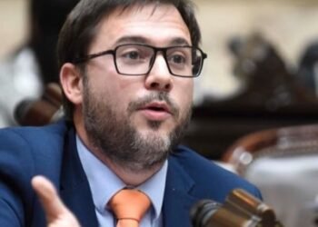 Agost Carreño: Tras ver a Milei, transfirieron 507 millones.