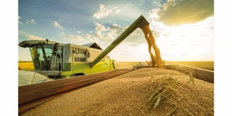 Campo: u$s15.000M post retenciones, ¿qué hará?