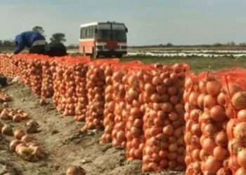 Campo argentino en crisis: importaciones y dólar ahogan al productor.