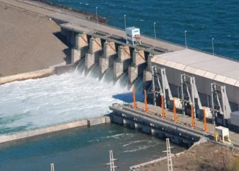 Concurso público para vender acciones de hidroeléctricas de ENARSA