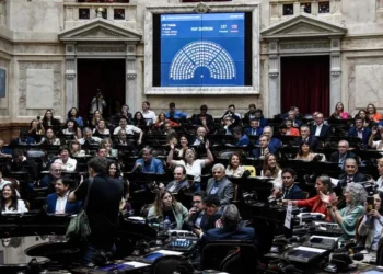 Frente de Izquierda, “100% en contra” de vetos de Milei.