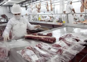 La economía sigue en picada: julio, un mes más de baja.