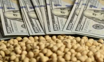 Soja argentina: Tensión China-EE. UU. impulsa ventas fuera de temporada.