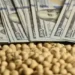 Soja argentina: Tensión China-EE. UU. impulsa ventas fuera de temporada.