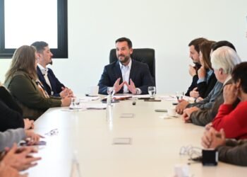 Mano firme, coraje y decisión política contra el delito: Ariel Sujarchuk presentó proyectos de ley contra la reiterancia de detenidos y para frenar la venta libre de armas semiautomáticas