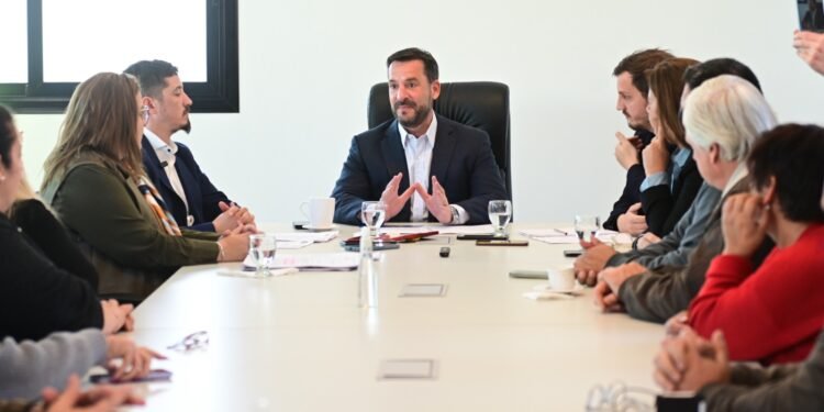 Mano firme, coraje y decisión política contra el delito: Ariel Sujarchuk presentó proyectos de ley contra la reiterancia de detenidos y para frenar la venta libre de armas semiautomáticas