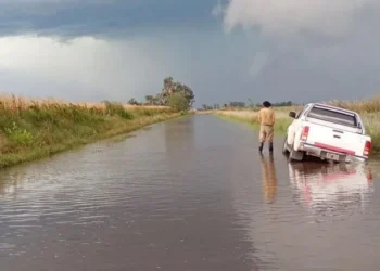 Emergencia agropecuaria en Buenos Aires y San Juan.
