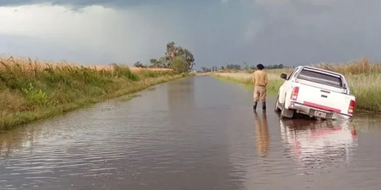 Emergencia agropecuaria en Buenos Aires y San Juan.
