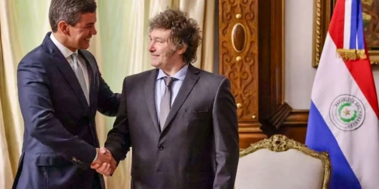 Milei en Paraguay: Cruce con el peronismo ante multitud.