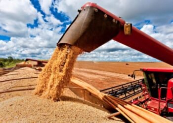 Agro en alerta: EEUU presiona, China compra soja