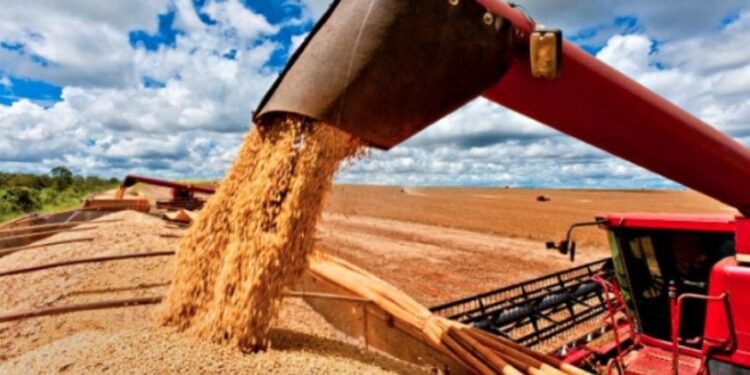 Agro en alerta: EEUU presiona, China compra soja