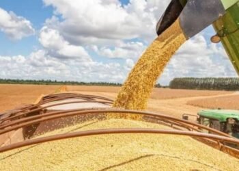 Retenciones: Campo y Agricultura, reunión clave.