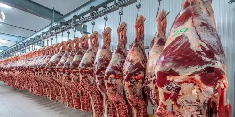 Consumo de carne al alza en agosto: claves y precios.