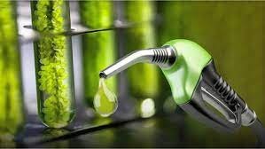 Bioenergético alerta pérdidas por ley de biocombustibles.