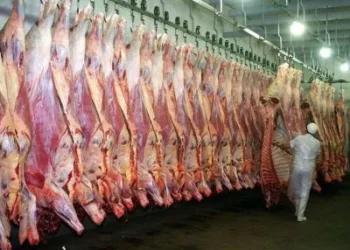 EEUU evalúa cuadruplicar importación de carne argentina