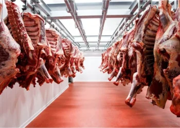 Carne a EEUU: Nuevo cupo de u$s300 millones.