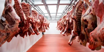 Carne a EEUU: Nuevo cupo de u$s300 millones.