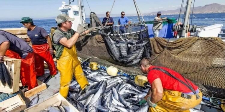 Multas pesqueras: actualizan facilidades de pago