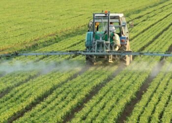 Agro: ofensiva legislativa para inversiones y exportaciones.