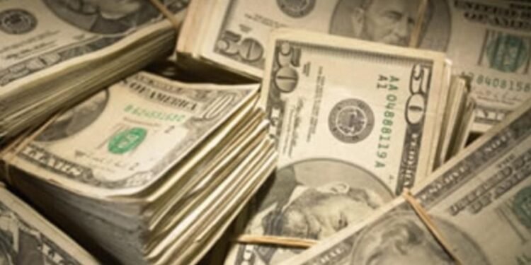 Dólar, bandas cambiarias y laudo postelectoral: el futuro.