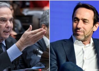 Pichetto vs. Galperín: Duelo por Shein y Temu.