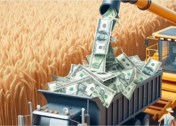 Trigo: el precio baja, pero el dólar resiste con altos rindes.