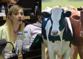 Impuesto a gases de vacas desata polémica rural.