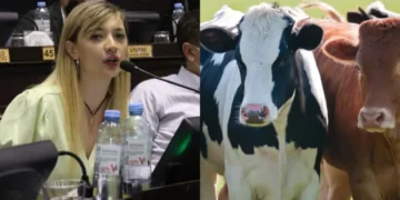 Impuesto a gases de vacas desata polémica rural.