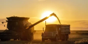 Oficial: baja de retenciones a granos.