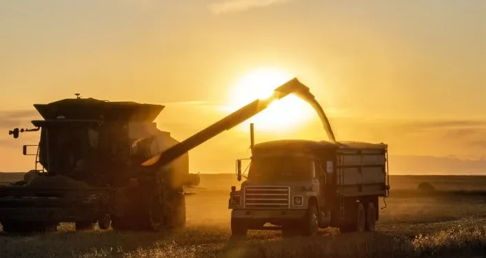 Oficial: baja de retenciones a granos.