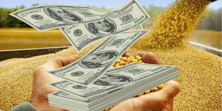 Presupuesto 2026: Alerta por cálculo de retenciones.