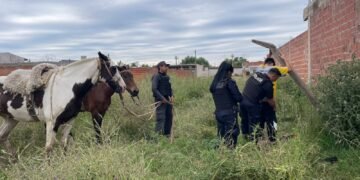 La Policía Municipal de Escobar, clave para resolver casos de narcomenudeo