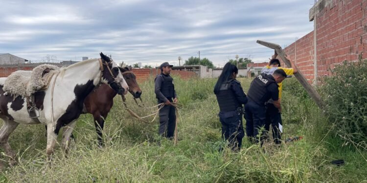 La Policía Municipal de Escobar, clave para resolver casos de narcomenudeo