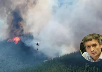 Máximo Kirchner criticó al Gobierno por incendios.