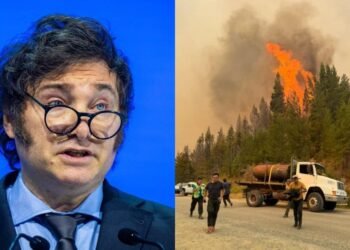 Milei Agradece a Combatientes de Incendios en Chubut.