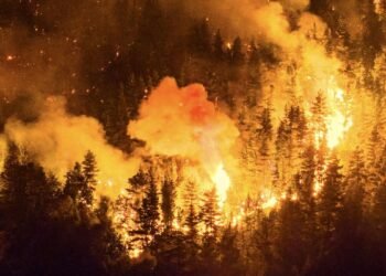 Urgente: Piden emergencia por incendios en Chubut.