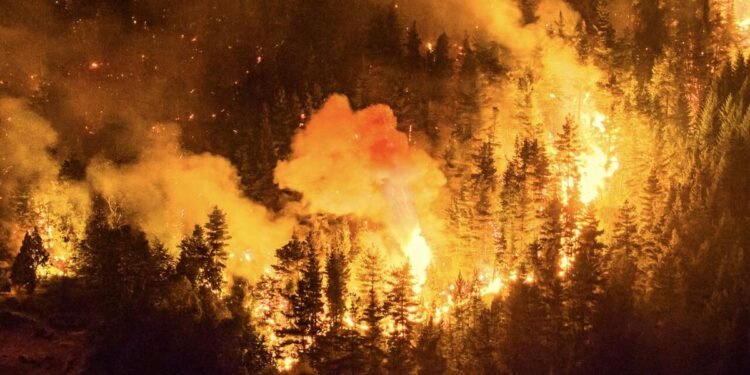 Urgente: Piden emergencia por incendios en Chubut.