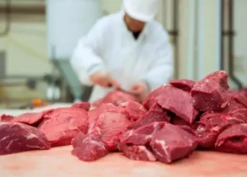 El precio de la carne impulsa la inflación en la segunda semana de febrero.