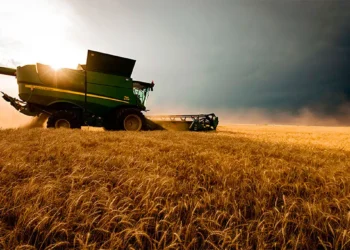 Agro: Liquidación de divisas se disparó un 82% en enero.